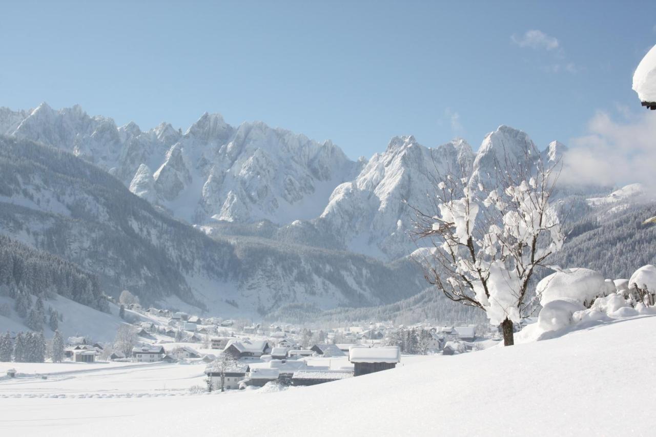 Vitalhotel Hotel Gosau